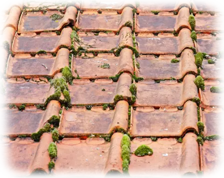 Nettoyage de toiture